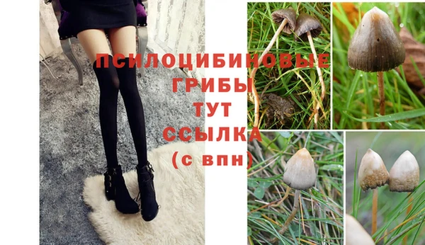 бошки Бородино