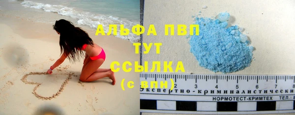 бошки Бородино