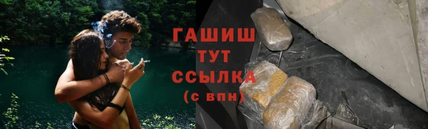 бошки Бородино