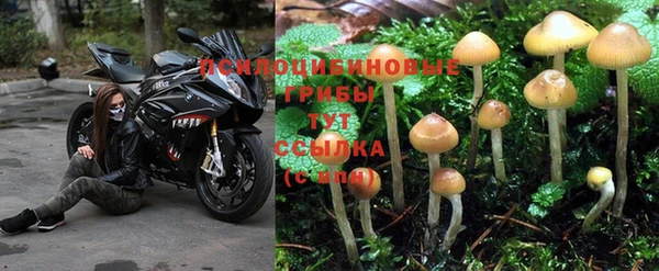 а пвп мука Бугульма